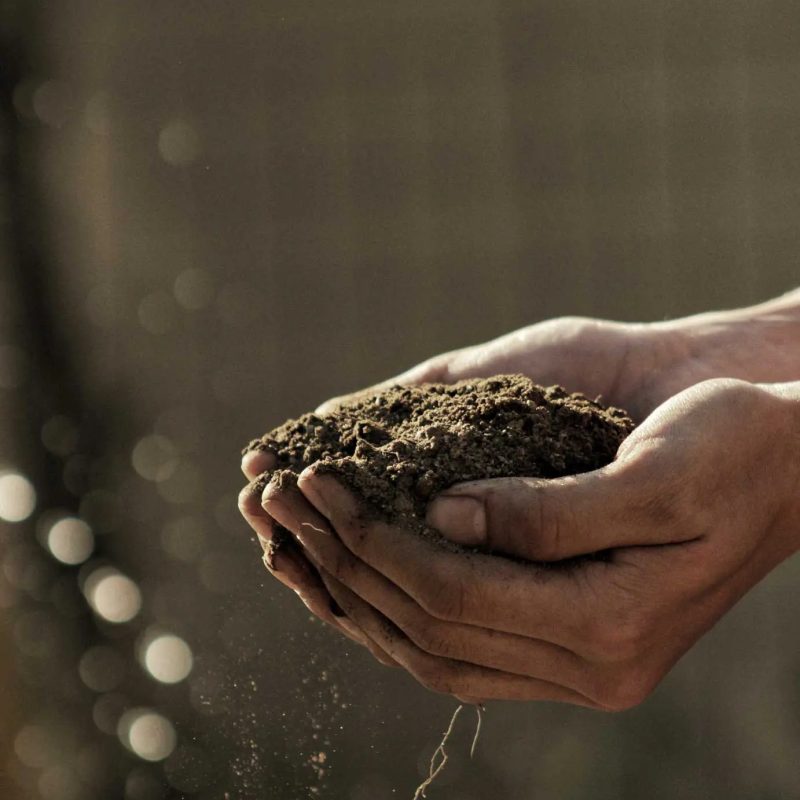 soil-2-gabriel-jimenez-jin4W1HqgL4-unsplash soil-2-gabriel-jimenez-jin4W1HqgL4-unsplash